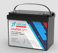 LFP 12,8-200 Smart BMS 100A (Bluetooth 4.0)